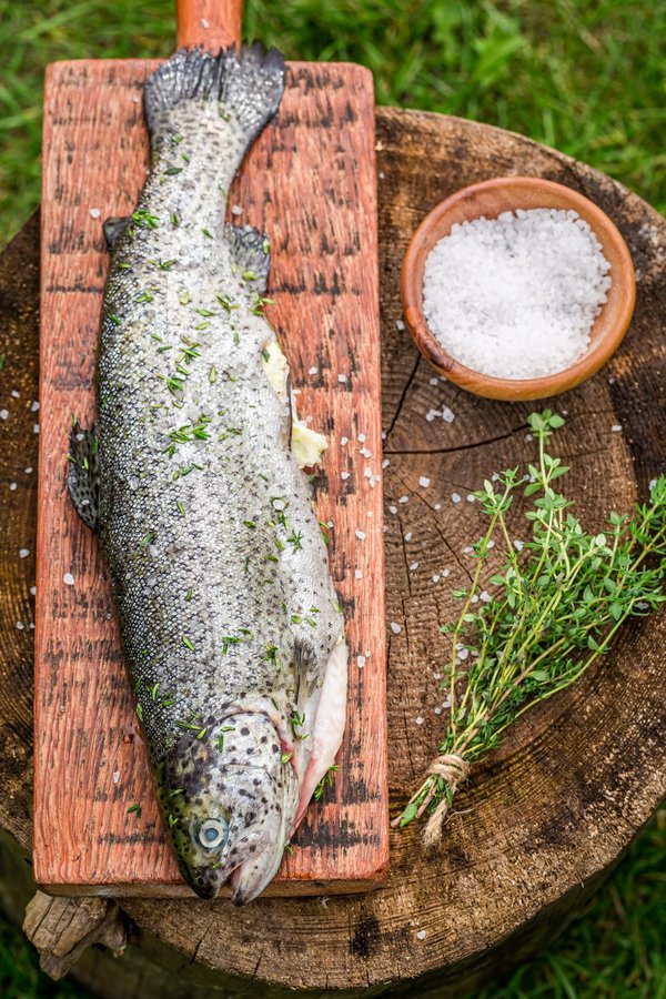 Les leurres truites à ne pas manquer pour vos sorties de pêche