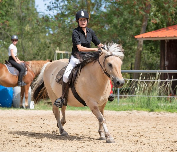 Adoptez l'équitation : astuces pratiques et guides essentiels